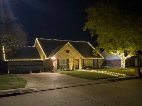 Wrapped shrubs and tree landscape lighting
